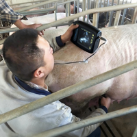 Échographe vétérinaire portable pour la détection de la gestation en ferme en extérieur et le diagnostic mobile