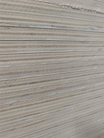 Contreplaqué de peuplier de haute qualité, bois massif de style design moderne pour la construction, achat à bas prix, garantie 1 an