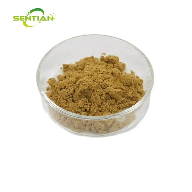 ginkgetin powder ginkgo biloba leaf extract Bilobalide/ginkgetin extract ginkgetin