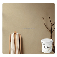 Peinture à base de chaux durable de haute qualité, revêtement en poudre, revêtement liquide, résine, texture murale intérieure et extérieure, peinture à la chaux