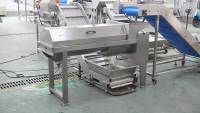 Fabrieksmatige RVS 304 Fruit- en Groente- (granaatappel) was-, schil- en ontpitmachine 0,5t/uur