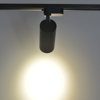RONSE 20W Cob Spotlight Lamp Techo alto 220V 2 Wire Rail Sistema de iluminación Luces de riel comercial en 3000K 4000K 6000K Colores