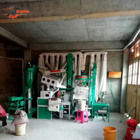 ALLWIN Machine à polir les grains à rouleaux haute efficacité 800 kg/heure, Ligne de production de décorticage et de mouture du riz pour usine de riz agricole