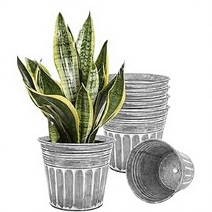 Maceta de Metal Galvanizado Plateado Rústico, Maceta Vintage con Orificio de Drenaje para el Hogar - Product Image 1