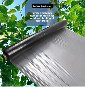 Película de PE Plateada Negra Especial para Huertos, Reflectante, Colorante, Abrillantador, Fuerte Inhibición del Crecimiento Excesivo de Árboles Frutales, Agrícola - Product Image 6