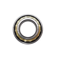 Roulement à rouleaux cylindriques à une rangée N1007M avec cage en laiton 35*62*14mm