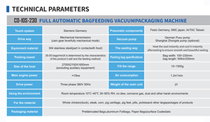 Macchina per Confezionamento Automatico con Alimentazione a Sacchetto per Polveri, Carne, Ghiaccio e Liquidi - Product Image 4