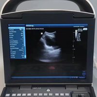 Escáner de Ultrasonido Veterinario Mindray de Alta Calidad, Pantalla en Blanco y Negro de 12.1'', Sistema Ultrasónico DP-10 Tipo Pull-Push, CE