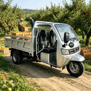 <span class=keywords><strong>Triciclo</strong></span> Motorizado Runhorse de Gasolina, <span class=keywords><strong>1000CC</strong></span>, Cuatro Cilindros, con Caja de Carga Trasera para Entrega de Mercancías y Transporte Rural - Product Image 1