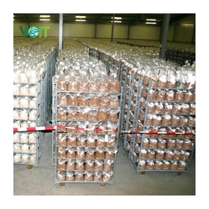 Chariots <span class=keywords><strong>danois</strong></span> pour champignons - Product Image 1