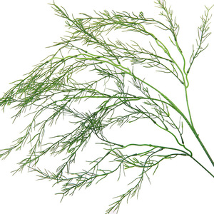 Essentielle Simulations-Grünpflanzen Künstliche Lange Grüne Zweige Gras für Mori-Hochzeitshintergrund Läufer Blumendekoration - Product Image 6