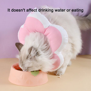 <span class=keywords><strong>Collar</strong></span> isabelino de flor morada ajustable para gatos y perros pequeños <span class=keywords><strong>Collar</strong></span> electrónico de gato suave de lujo Cono impermeable para gatitos y cachorros - Product Image 5