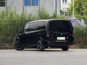 <span class=keywords><strong>Mercedes</strong></span> Vito Van à louer, occasion, disponible pour la location, modèle cargo et passagers, usage commercial - Product Image 6