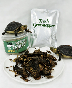 Insectos Frescos 100% Naturales, Envasados al Vacío para su Conservación, Fáciles de Guardar, Listos para Comer al Abrir, el Favorito de las Mascotas - Product Image 1