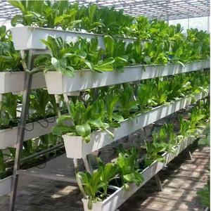 Hydroponique Fraise Plantation Gouttière Agriculture Système de tuyau <span class=keywords><strong>en</strong></span> PVC pour légumes - Product Image 5