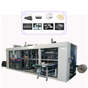 Automatic Disposable Clamshell PP Food Container Thermoforming Machine