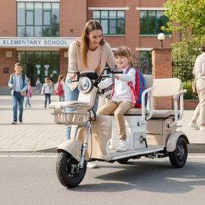 <span class=keywords><strong>Triciclo</strong></span> Eléctrico HLD de 60V/72V, Motocicleta de 3 Ruedas con Capacidad para Tres Personas, Ideal para Desplazamientos Urbanos - Product Image 1