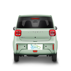 Meilleures voitures électriques entièrement électriques pour adultes <span class=keywords><strong>Mini</strong></span> à grande vitesse de haute qualité - Product Image 2