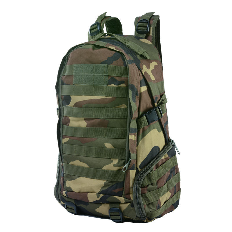 ลายพรางป่า