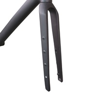 Cadre de vélo de gravier en fibre de carbone T1000 GR206, pneu max 700*50C, dropout UDH avec tige de selle de 27,2 mm, technologie de moulage par soufflage