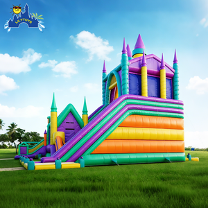 Lilytoys Groothandel Inflat Springen Gigantische Opblaasbare Bounce Huis Commercieel Springkasteel Met Glijbaan Combo - Product Image 3