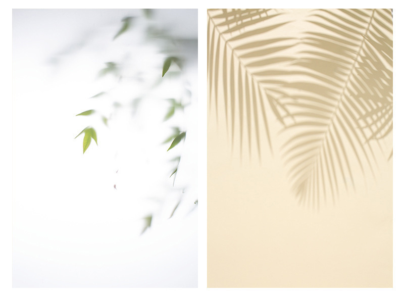 843224-blanc
