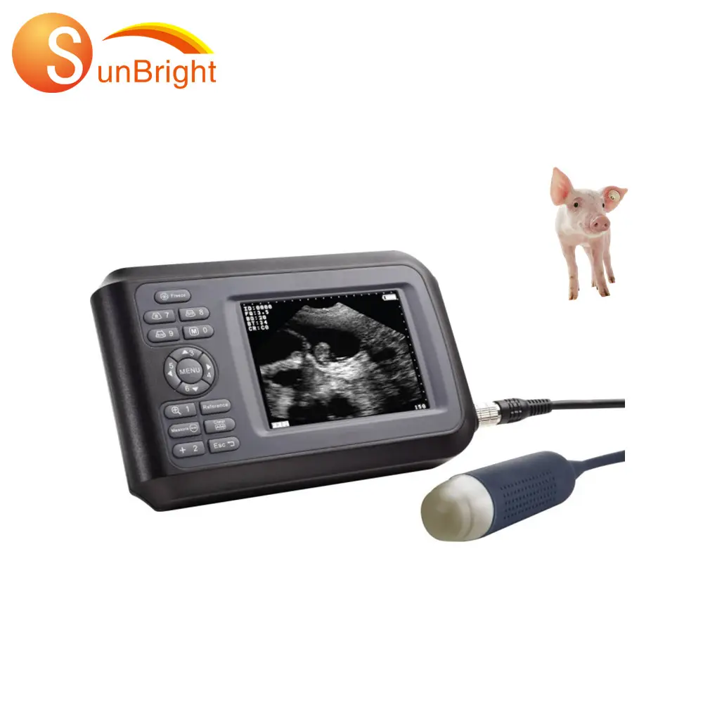 Les plus récents instruments médicaux à ultrasons vétérinaires machine de scanner à ultrasons de grossesse de porc