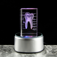 Cube de cristal transparent avec dents, modèle dentaire naturel agrandi, gravé au laser pour la pratique des étudiants