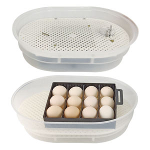 Incubatrice per Uova Piccola a Basso Costo con Alta Percentuale di Schiusa, per 9 Uova di Gallina, in Vendita in Zambia - Product Image 3