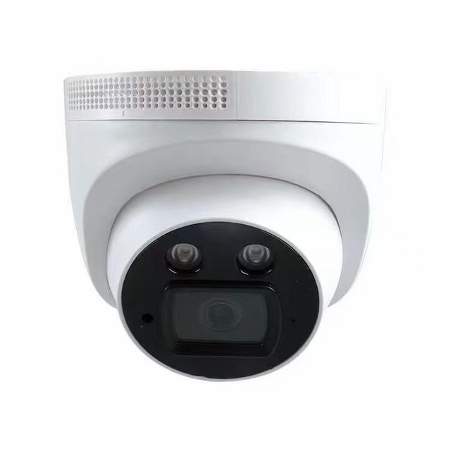 4K 8MP 5MP Microphone Audio AI Human Detection Video Surveillance Security Turret Dome Network Camera