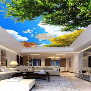 Película <span class=keywords><strong>de</strong></span> Techo <span class=keywords><strong>de</strong></span> PVC Flexible, Paneles <span class=keywords><strong>de</strong></span> Revestimiento Ignífugos, Techos Artísticos Falsos - Product Image 5