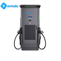Estación de Carga Rápida para Vehículos Eléctricos de Alta Potencia 160kW 180kW 240kW CC con 2/4 Conectores CCS1 CCS2 GBT NACS, Estación de Carga Comercial para Vehículos Eléctricos