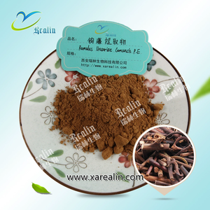 Nhà sản xuất cung cấp thảo dược uncariarhynchophylla gambir chiết xuất gambir <span class=keywords><strong>sarawak</strong></span> 10:1 uncaria gambir chiết xuất bột - Product Image 2