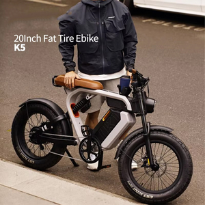 US-style <b>Retro</b> Electric-assist Rear Hub Motor Fat Tire Mountain 36V High-carbon Steel DDC-019 High-Carbon Steel Frame - Product Image 1