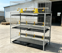 Cage à poulets à 3 niveaux et 2 portes pour 60 poulets avec mangeoire