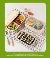Boîte à lunch personnalisée au micro-ondes Boîte à bento écologique en paille de blé biodégradable en fibre de blé pour enfants Ensembles de boîtes à lunch pour enfants