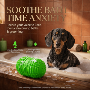 Jouet interactif intelligent pour chien en stock, avec 8 modes, balle roulante automatique et enregistrement, conception personnalisée, fabricant OEM ODM - Product Image 6