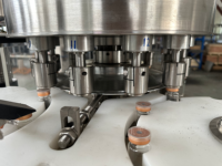 Machine de remplissage et de scellage automatique de flacons de poudre, norme GMP, dosage de haute précision, servo-motorisée, en acier inoxydable 304, stérile