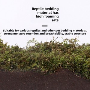 Ladrillos de Coco para Tortugas al por Mayor, Sustrato Natural de Coco, Paquete para la Hibernación de Tortugas Brasileñas, Material para Reptiles, Sustrato Nutritivo - Product Image 5