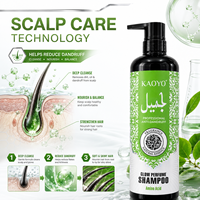 Shampooing Parfumé Anti-Pelliculaire aux Acides Aminés et à l'Huile d'Argan pour Soin du Cuir Chevelu, Contrôle du Sébum, Marque Privée, Vente en Gros, Usine