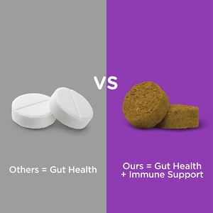 120 Granuli di Vitamine per Cuccioli ad Assorbimento Rapido, Supporto Immunitario per Cani, Salute Digestiva, Sollievo dal Disagio Stomacale, Integratori per Animali Domestici - Product Image 2