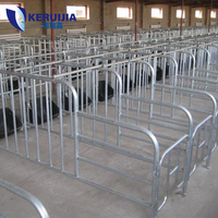 Grande ferme robuste équipement agricole moderne cage pour animaux truie stylo de grossesse galvanisé positionnement des truies