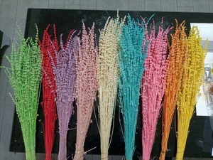 Flor de lavanda seca Natural, lavanda preservada, flor de larga duración para eventos y decoración del hogar - Product Image 6