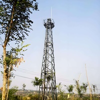 Torre de Protección contra Rayos Monopolar Galvanizada en Caliente para Exteriores, para Sitios de Telecomunicaciones, con Pararrayos de Tubo Único