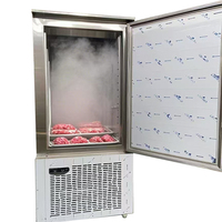 Congélateur à plaques IQF 10 plateaux -45°C, refroidisseur rapide à air pulsé pour congélation rapide de poisson, viande, pain
