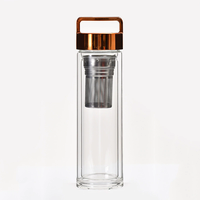 Gobelet isotherme portable à double paroi en verre avec infuseur en acier inoxydable pour camping, voyage, thé, café, fruits