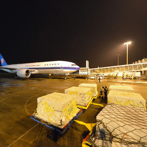 Китай Экспресс-перевозки: D2D воздушный курьер в Мексику, Карибское и Южная/Центральная Америка | Низкая стоимость с <span class=keywords><strong>DHL</strong></span>, FedEx, UPS - Product Image 4