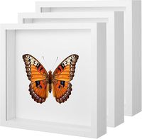 Marco de Fotos Tipo Caja de Sombra, Cajas de Sombra Cuadradas de Madera, Vitrinas con Profundidad de 3cm 5cm, Marcos 3D, Caja Hueca para Fotos, Flores, Medallas
