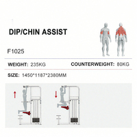 WENDY Promotion : Station de musculation multifonctionnelle avec barres de traction et barres de dips – Vente en gros usine – Appareil de musculation pour entraînement de force