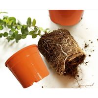 SC ECOMMERCE Set 10 Pot Plastik Oranye Mengkilap 3,5 Liter Pot Tanaman Luar Ruangan Pot Bunga Model KN-VP9R-RV6J Buatan AS